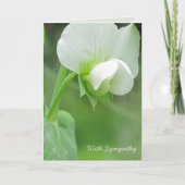 Gentle Sympathy Card mit Bibel Verse Karte (Vorderseite)