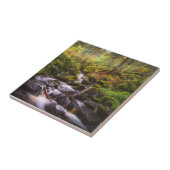 Gentle Waterfall Woodland Brook Fliese (Seite)