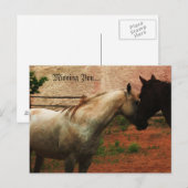 Gentle Whisper ... Postkarte (Vorne/Hinten)