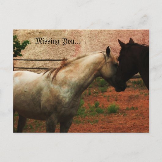 Gentle Whisper ... Postkarte (Vorderseite)