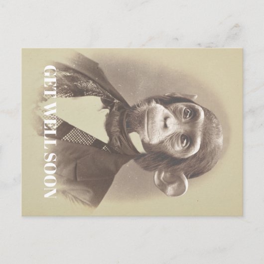 Gentleman Chimpanzee Sprichwort "Get Well bald" Postkarte (Vorderseite)