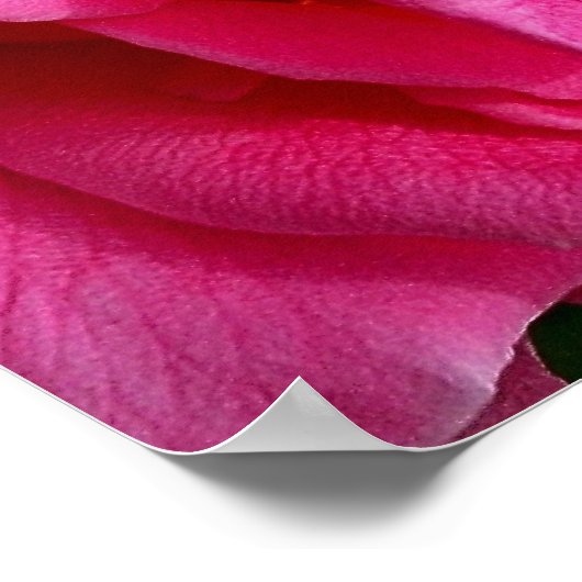 GENTLENLOS POSTER (Ecke)