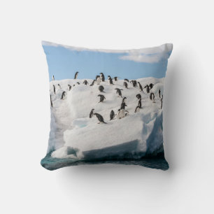Gentoo Penguin Antarktis Iceberg Playtime Kissen