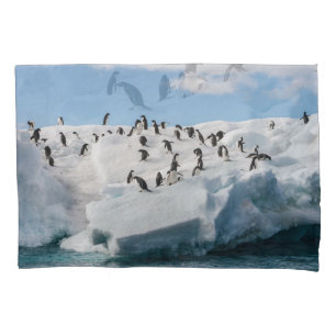 Gentoo Penguin Antarktis Iceberg Playtime Kissenbezug