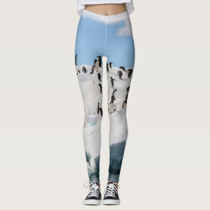 Gentoo Penguin Antarktis Iceberg Playtime Leggings