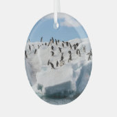 Gentoo Penguin Antarktis Iceberg Playtime Ornament Aus Glas (Vorderseite links)