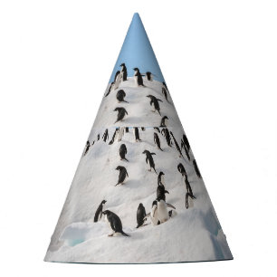 Gentoo Penguin Antarktis Iceberg Playtime Partyhütchen