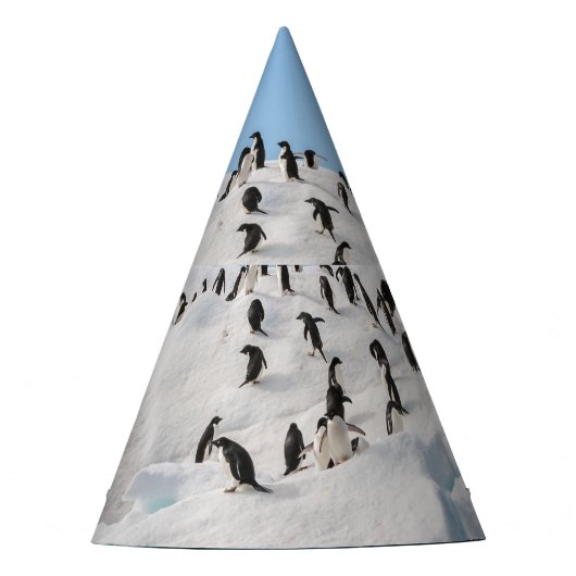 Gentoo Penguin Antarktis Iceberg Playtime Partyhütchen (Vorderseite)