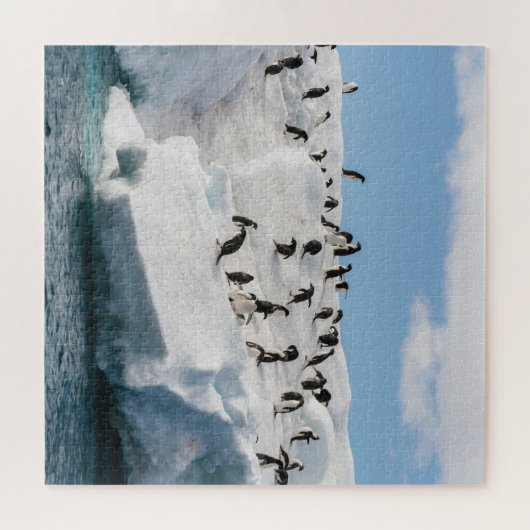 Gentoo Penguin Antarktis Iceberg Playtime Puzzle (Horizontal)
