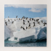 Gentoo Penguin Antarktis Iceberg Playtime Puzzle (Vertikal)