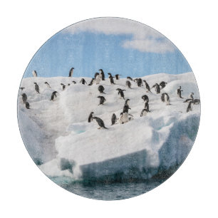 Gentoo Penguin Antarktis Iceberg Playtime Schneidebrett