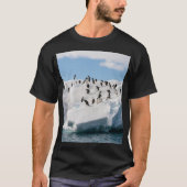 Gentoo Penguin Antarktis Iceberg Playtime T-Shirt (Vorderseite)