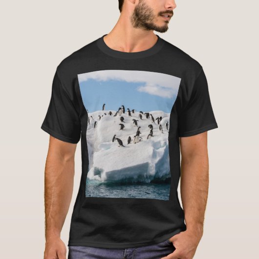 Gentoo Penguin Antarktis Iceberg Playtime T-Shirt (Vorderseite)