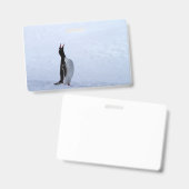 Gentoo penguin ausweis (Vorder- & Rückseite)