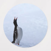 Gentoo penguin etiketten (Design 1)