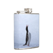 Gentoo penguin flachmann (Rechts)