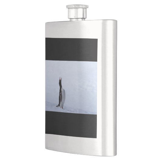 Gentoo penguin flachmann (Links)