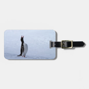 Gentoo penguin gepäckanhänger