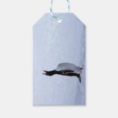Gentoo penguin geschenkanhänger (Vorderseite)