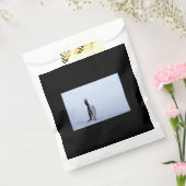 Gentoo penguin geschenktütchen (Versiegelt)
