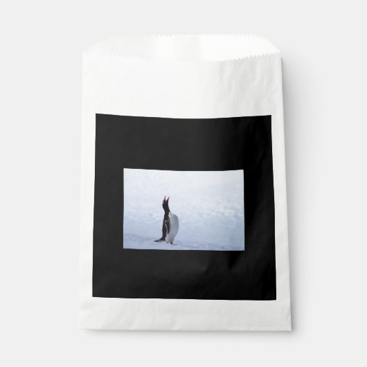 Gentoo penguin geschenktütchen (Vorderseite)