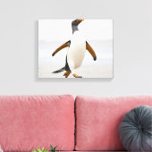 Gentoo Penguin Leinwanddruck (Insitu (Wohnzimmer))