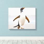 Gentoo Penguin Leinwanddruck (Insitu (Holzboden))