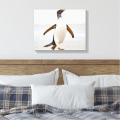 Gentoo Penguin Leinwanddruck (Insitu (Schlafzimmer))