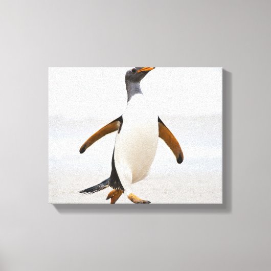 Gentoo Penguin Leinwanddruck (Vorderseite)