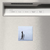 Gentoo penguin magnet (In Situ (Geschirrspüler))