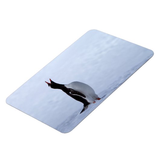 Gentoo penguin magnet (Linke Seite)