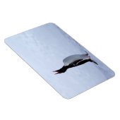 Gentoo penguin magnet (Rechte Seite)
