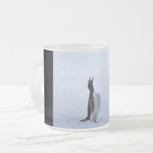 Gentoo penguin mattglastasse (Vorderseite Links)