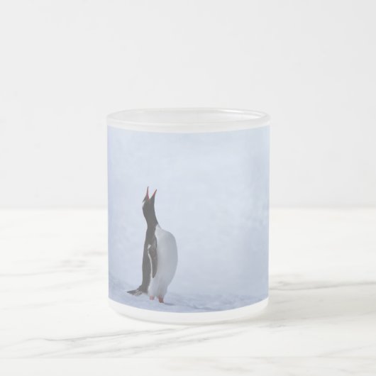 Gentoo penguin mattglastasse (Mittel)