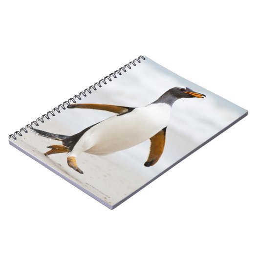 Gentoo Penguin Notizblock (Linke Seite)