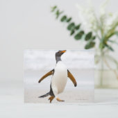 Gentoo Penguin Postkarte (Stehend Vorderseite)