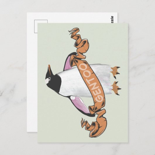 Gentoo penguin postkarte (Vorne/Hinten)
