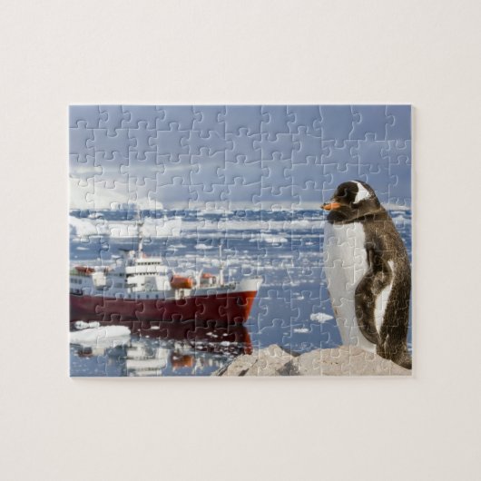 Gentoo Penguin Puzzle (Horizontal)