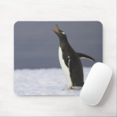 Gentoo penguin (Pygoscelis papua) adult bird Mousepad (Mit Mouse)