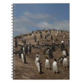 Gentoo Penguin (Pygoscelis papua) Kolonie im Weste Notizblock (Vorderseite)