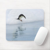 Gentoo penguin (Pygoscelis papua) Mousepad (Mit Mouse)