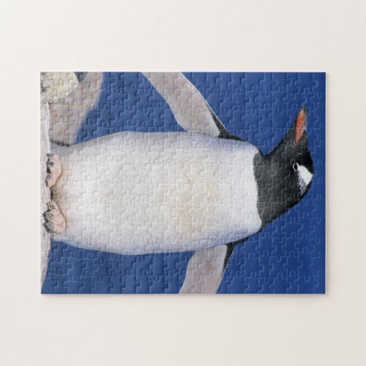 Gentoo Penguin Pygoscelis papua) Port Puzzle (Horizontal)