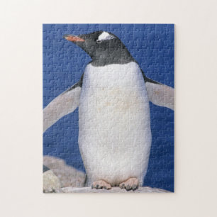 Gentoo Penguin Pygoscelis papua) Port Puzzle