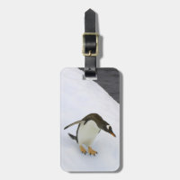 Gentoo Penguin Pygoscelis Papua) stehend