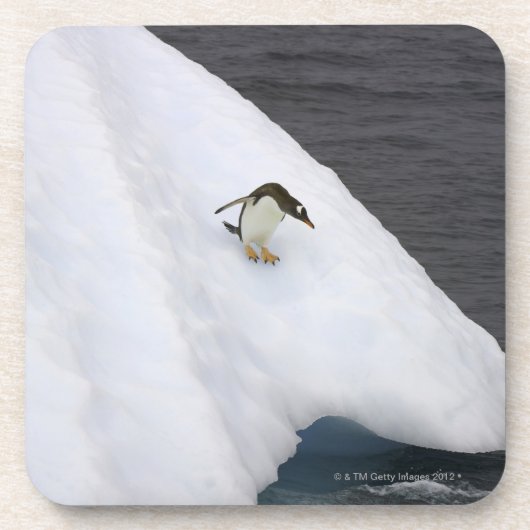 Gentoo Penguin Pygoscelis Papua) stehend Untersetzer (Vorderseite)