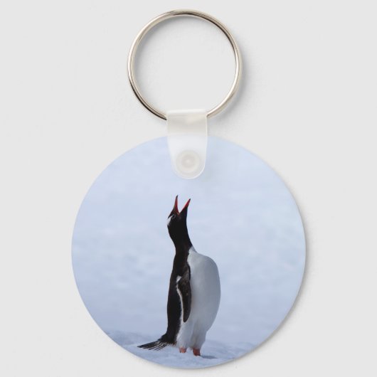 Gentoo penguin schlüsselanhänger (Vorderseite)