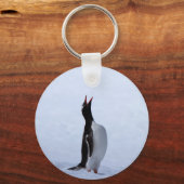 Gentoo penguin schlüsselanhänger (Vorderseite)