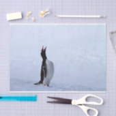 Gentoo penguin seidenpapier (Handwerk)