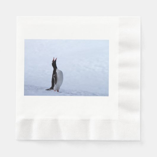Gentoo penguin serviette (Vorderseite)