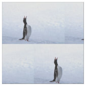 Gentoo penguin stoff (Nahaufnahme)